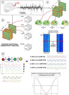 Positive Connectivity Predicts the Dynamic Intrinsic Topology of the Human Brain Network